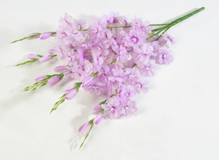 Яблоня "Астарта" 5 веток