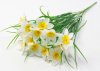 Букет нарцисса 15 цветков