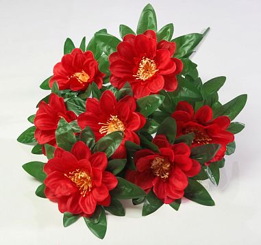Георгин "Нимфа" 7 цветков от магазина KALINA являющийся официальным дистрибьютором в России 