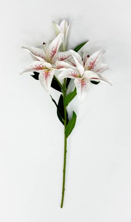 Ветка лилий "Сибирь" в крапинку