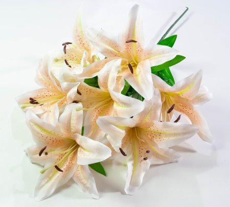 Лилия "Арабская ночь" 7 цветков