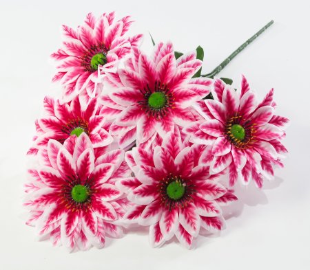 Букет Олимпия 6 цветков