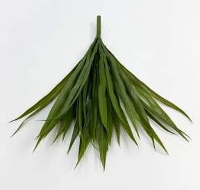 картинка Осока "В саду" от магазина KALINA