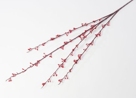 Ветка с мелкими почками