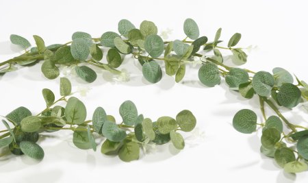 картинка Лиана эвкалипт от магазина KALINA