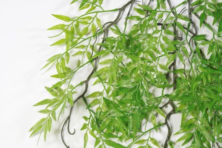 картинка Ветка бамбука ампельного от магазина KALINA