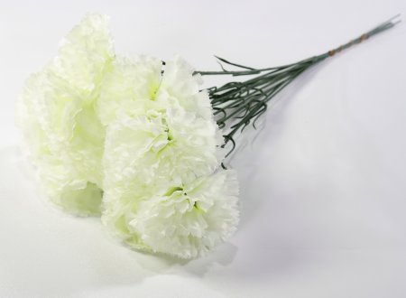 Гвоздика штучка