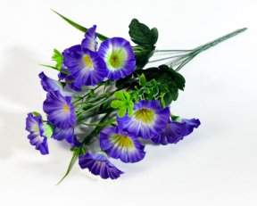 Петуния 15 цветков