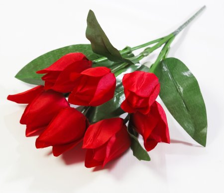 Тюльпан "Синичка" 7 цветков