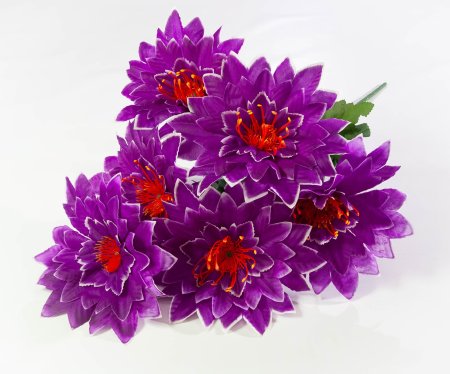 f72d79ef82ea1d74f36ebba3814b3516