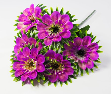 Георгин "Голубое знамя" 6 цветков