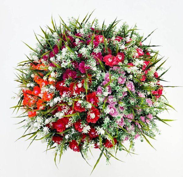 Цинния 24 цветка