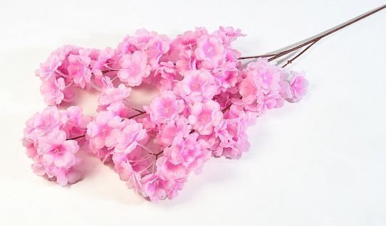 Ветка яблони "Карамелька" розовая от магазина KALINA являющийся официальным дистрибьютором в России 
