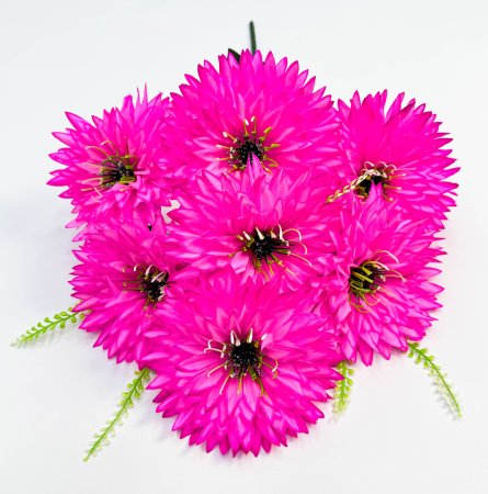 Астра "Венец" малая 7 цветков