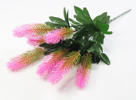 Ветка Хвоща  7 веток