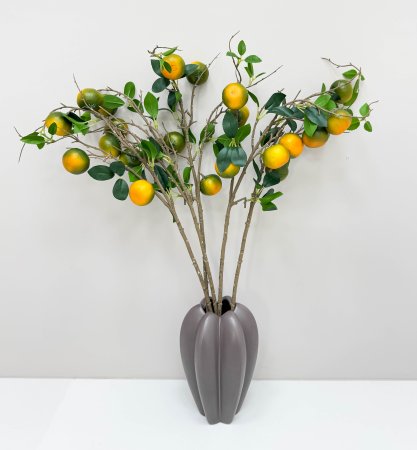 Ветка зеленых мандарин 5 плодов