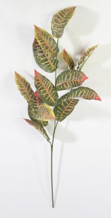 картинка Ветка кротона малая от магазина KALINA