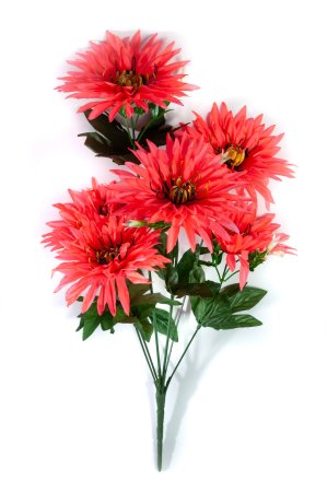 Букет астры " Краб"