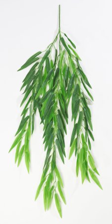 картинка Ампельная ветка ивы от магазина KALINA