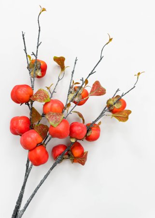 Хурма 5 плодов