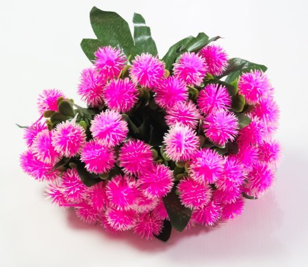 Репей садилка 5 цветков