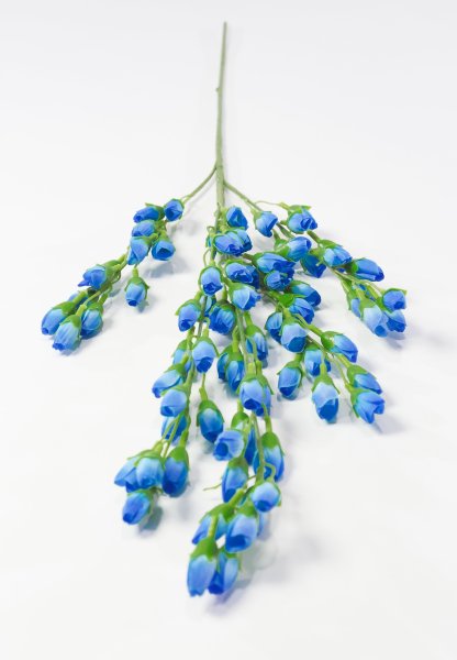 Ветка с мелкими тюльпанами