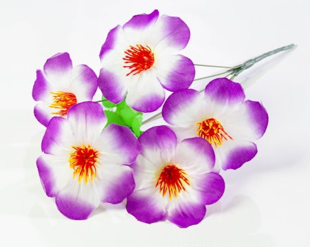 Лилия 5 веток