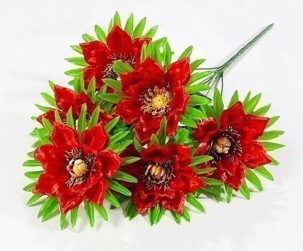 Георгин "Соната" 6 цветков от магазина KALINA являющийся официальным дистрибьютором в России 
