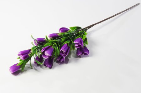 Ветка с крокусами (желтые)