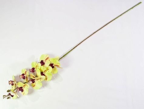 Ветка орхидеи 17 искусственная от магазина KALINA являющийся официальным дистрибьютором в России 