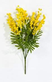Букет мимозы 5 веток