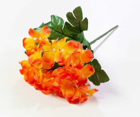 422d151e54653e9717aeb10b507b551e