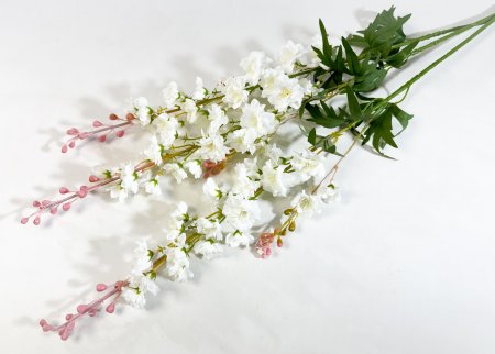 Дельфиниум Галант