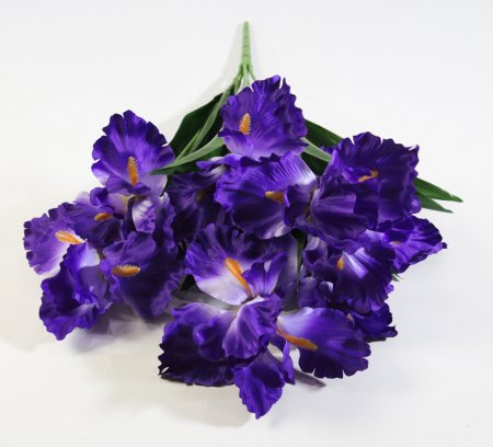 Букет ирисов садовых 7 цветков