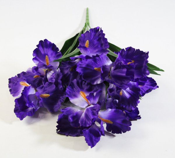 Букет ирисов садовых 7 цветков