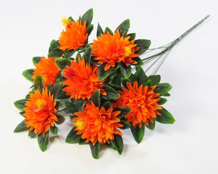 Хризантема "Ариадна" 7 цветков