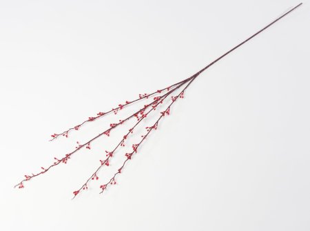 Ветка с мелкими почками