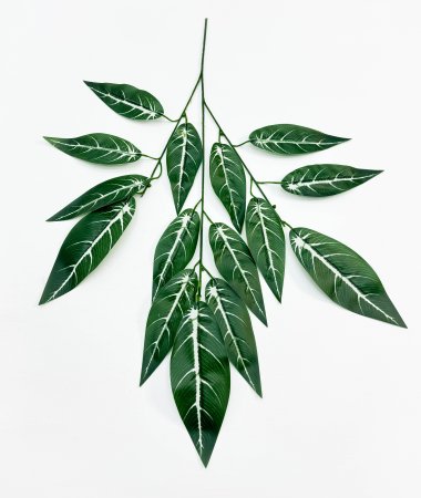 картинка Лист кротона с белой жилкой от магазина KALINA