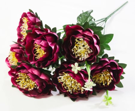 Пион "Миледи" 7 цветков