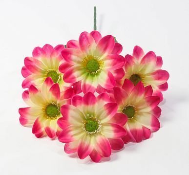 Георгин "Эдинбург" 6 цветков от магазина KALINA являющийся официальным дистрибьютором в России 
