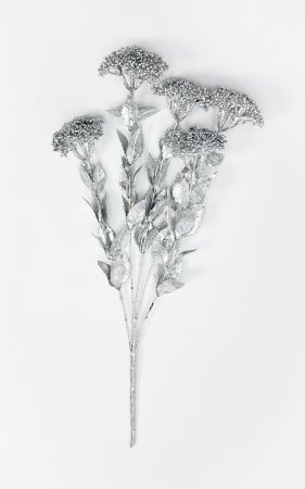 Тысячелистник серебро