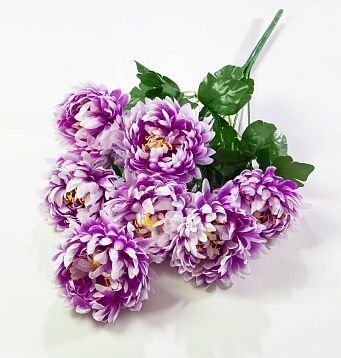 Астра "Королевская" 7 цветков от магазина KALINA являющийся официальным дистрибьютором в России 