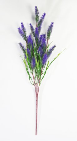 Ветка фиолетового Щитинника