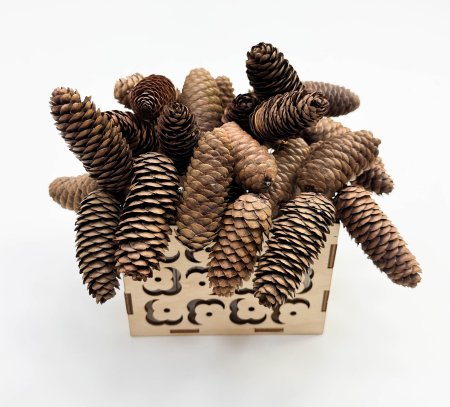 Шишка ели 250 грамм