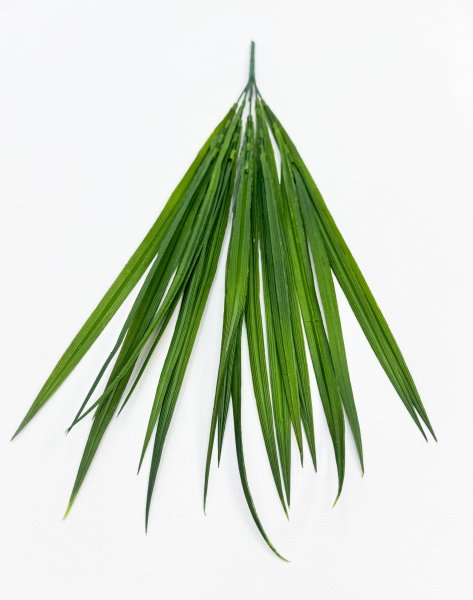 картинка Осока Лонг 5 веток зелёная  от магазина KALINA