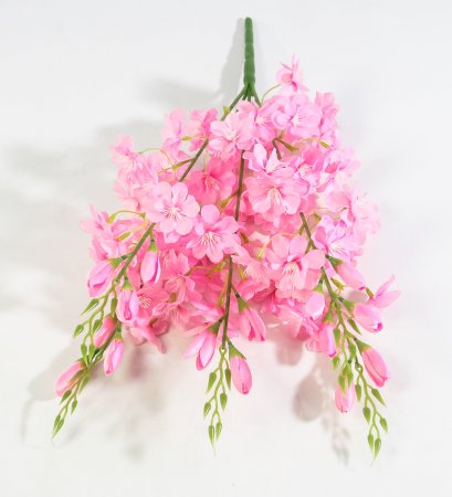 Яблоня "Астарта" 5 веток