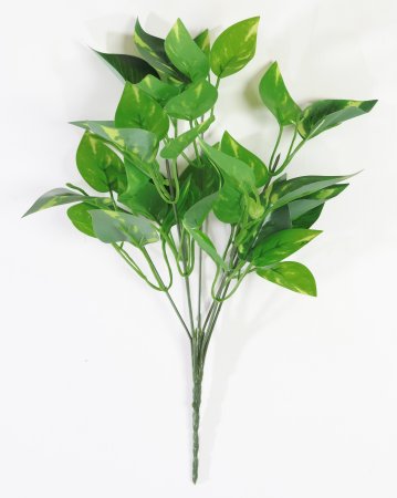 картинка Ветка эпипремнума ароидного от магазина KALINA