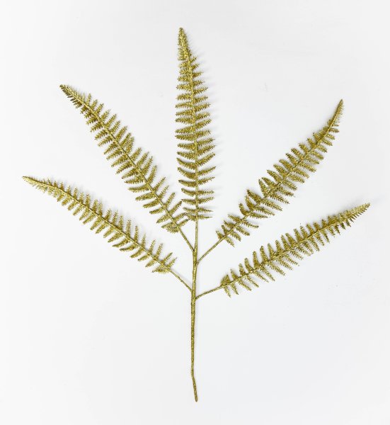 Папоротник золото