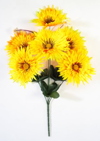 Астра Фокус малая 6 цветков