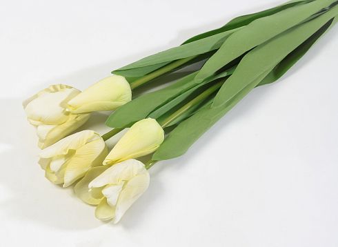 Тюльпан с латексным покрытием белый (12 букетов по 5 шт) от магазина KALINA являющийся официальным дистрибьютором в России 
